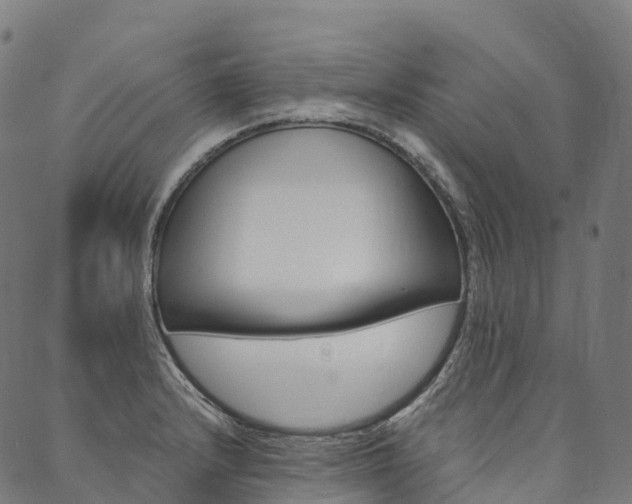 X0000090451232200707130920