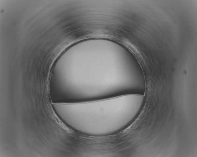 X0000090451236200707130920