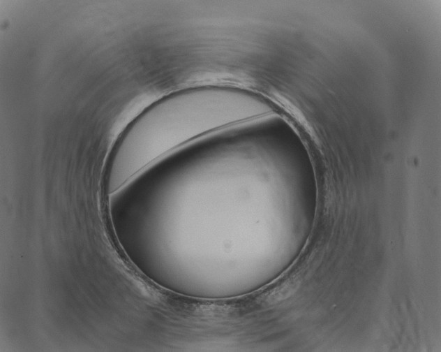 X0000090451277200707130919