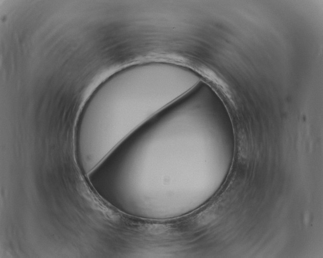 X0000090451280200707130919