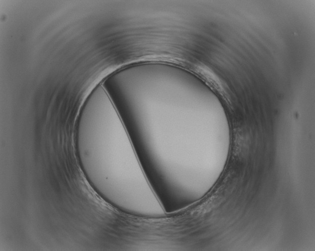 X0000090451284200707130919