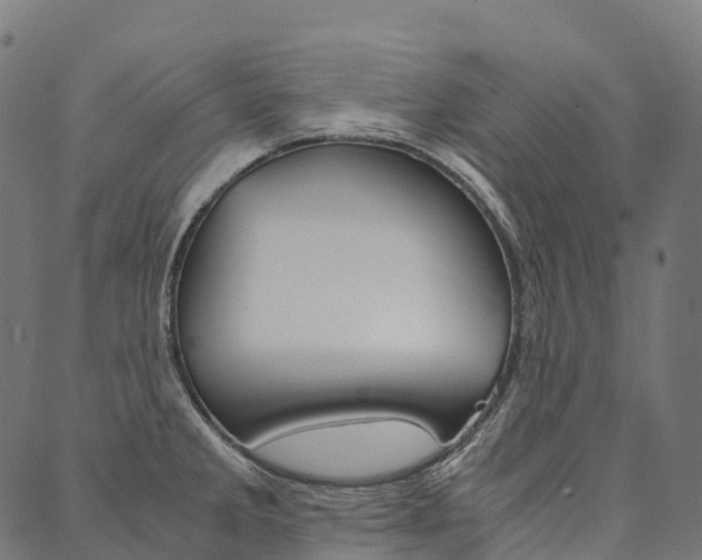 X0000090451285200707130919