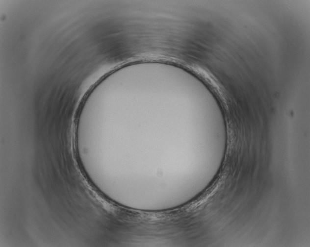 X0000090451286200707130919