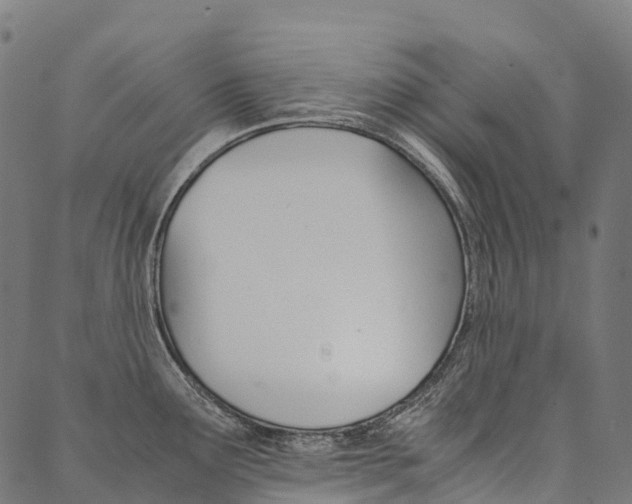 X0000090451291200707130919