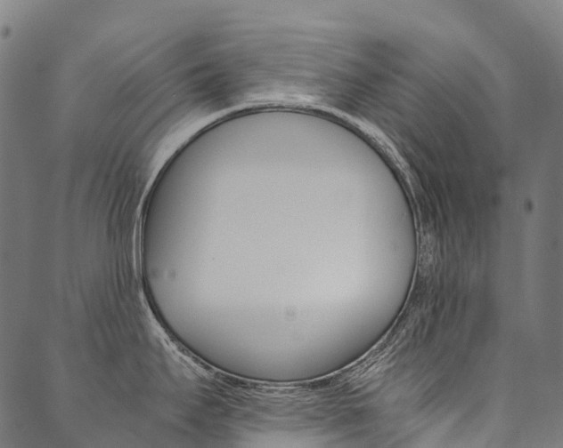 X0000090451295200707130919