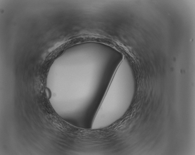 X0000090451303200707130918