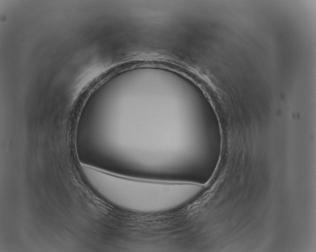 X0000090451311200707130919