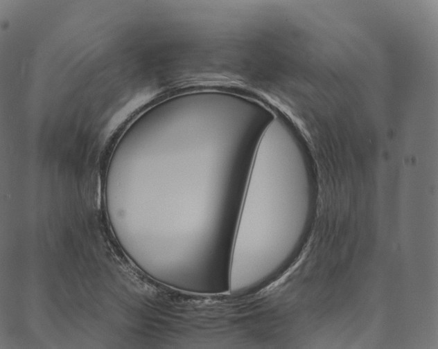 X0000090451317200707130919
