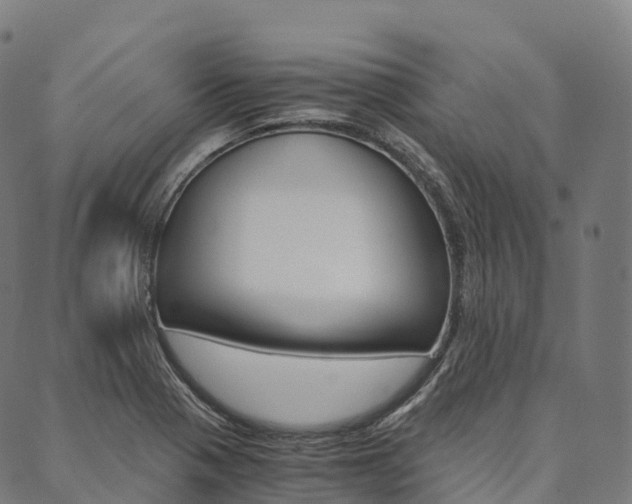 X0000090451321200707130919