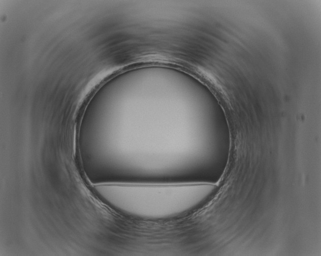X0000090451323200707130919
