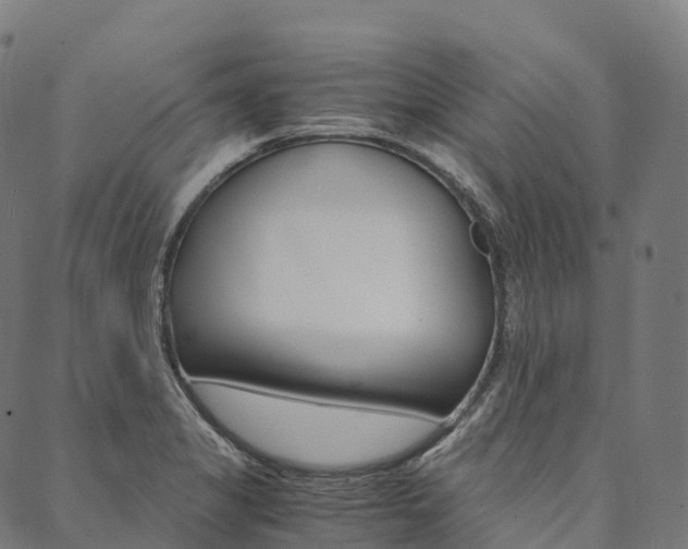 X0000090451325200707130919