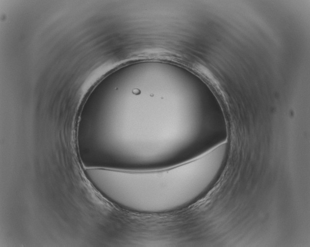 X0000090451336200707130919