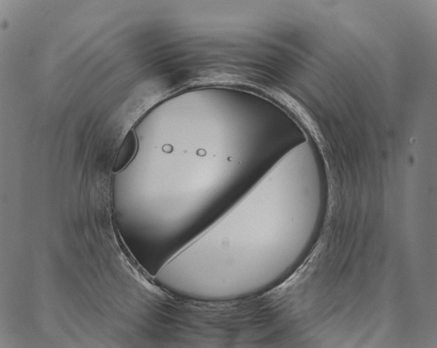 X0000090451337200707130919