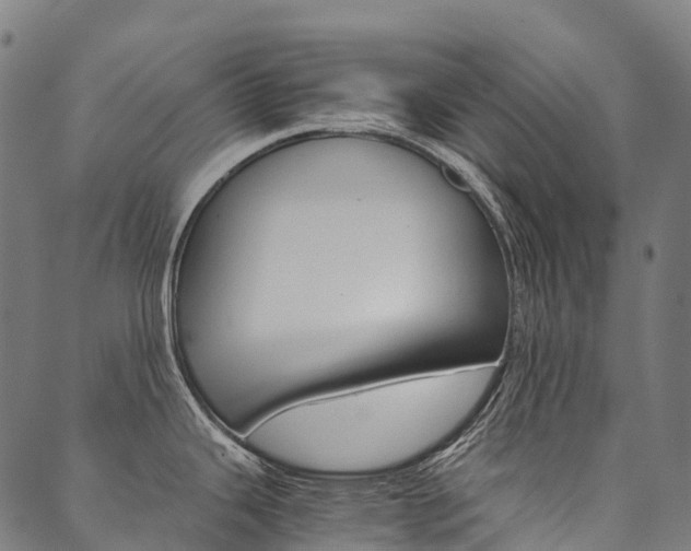 X0000090451343200707130919