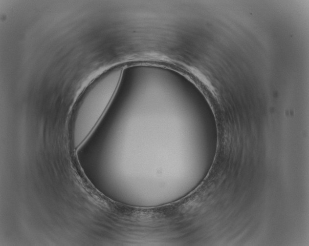 X0000090451364200707130918