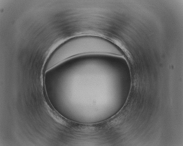 X0000090451372200707130918