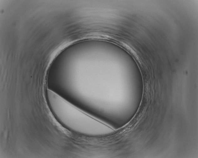 X0000090451379200707130918