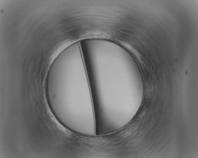 X0000090451383200707130918
