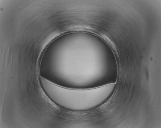 X0000090451384200707130918