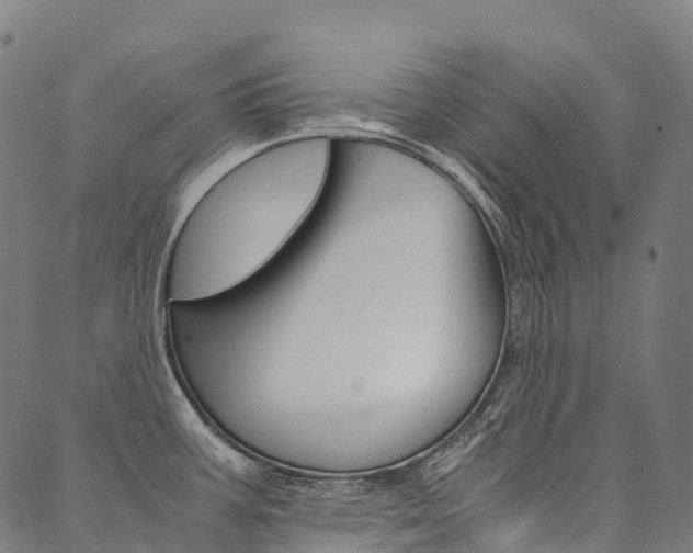 X0000090451387200707130918