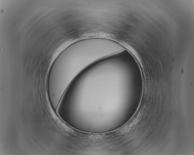 X0000090451389200707130918