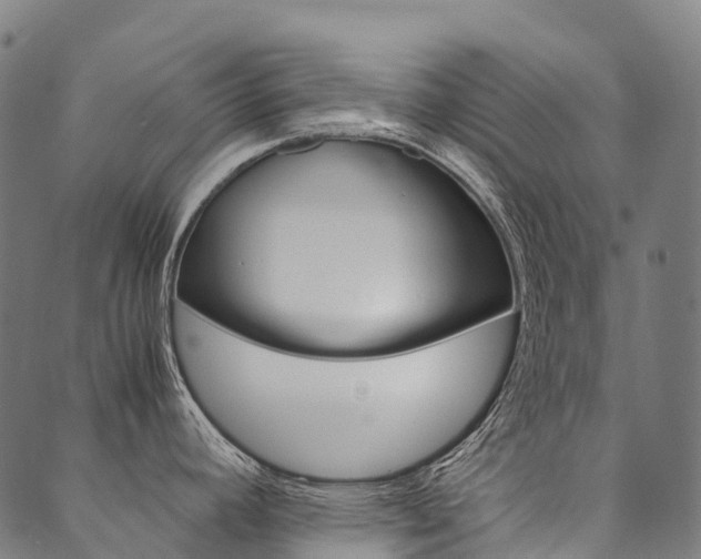 X0000090451392200707130918