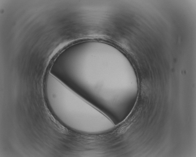 X0000090451412200707130917