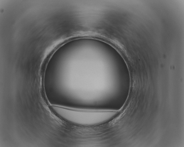 X0000090451414200707130917