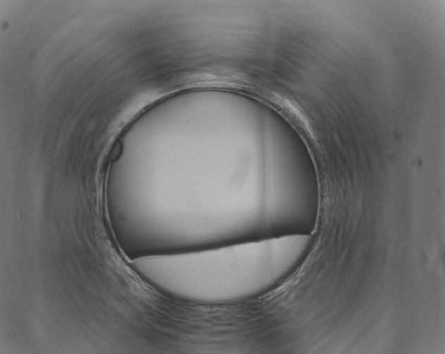X0000090451419200707130917