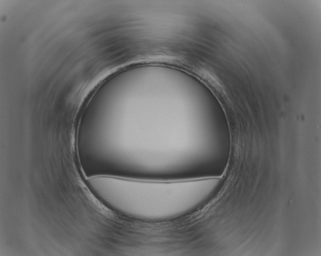 X0000090451420200707130917