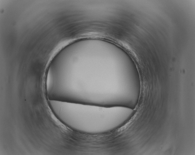 X0000090451421200707130917