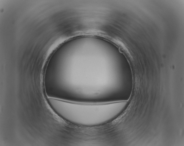X0000090451424200707130917