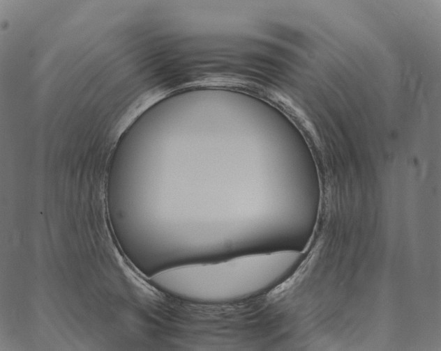 X0000090451425200707130917