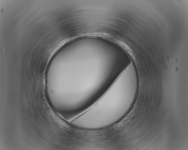 X0000090451428200707130917