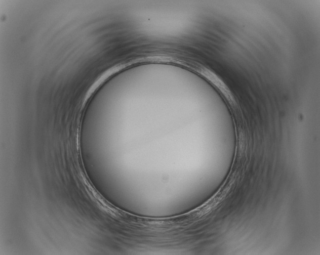 X0000090451436200707130918