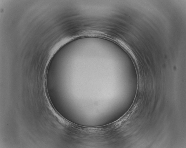 X0000090451437200707130918