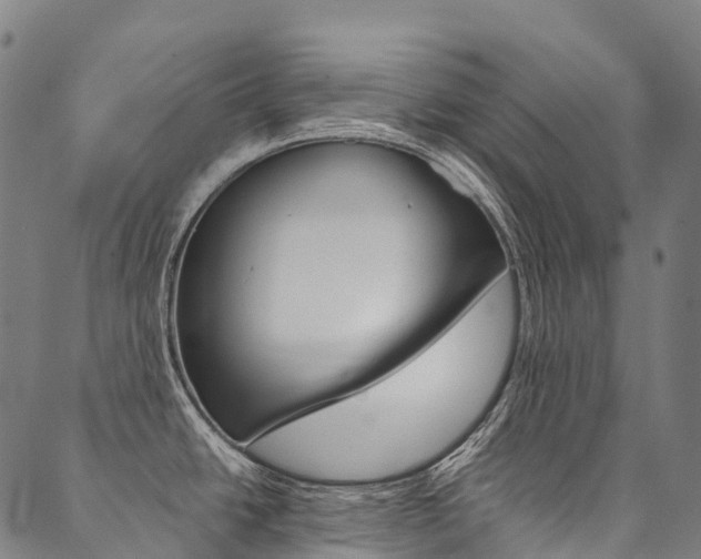 X0000090451438200707130918