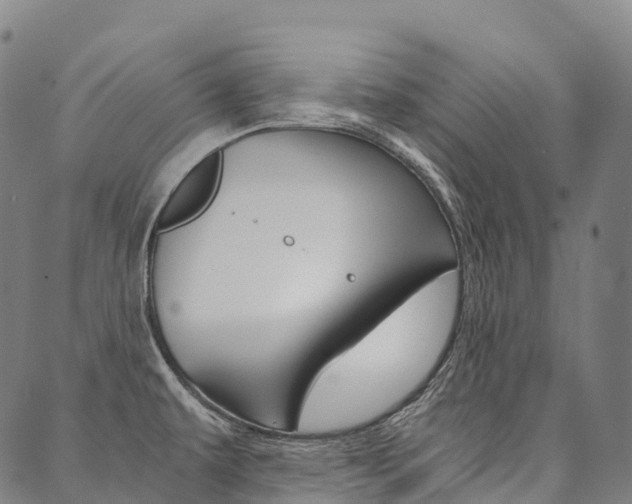 X0000090451479200707130916