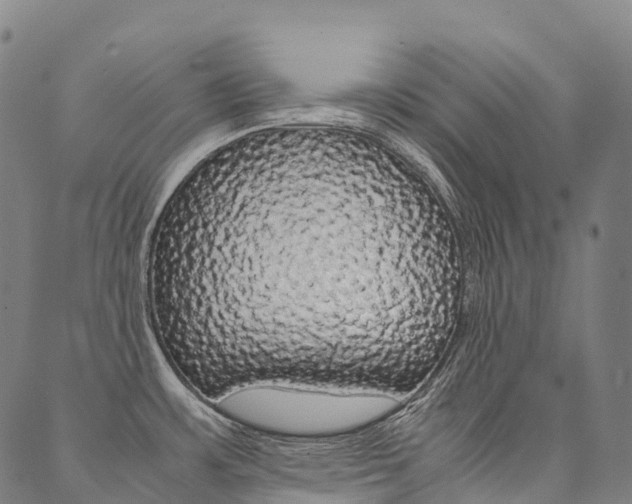 X0000090451483200707130916
