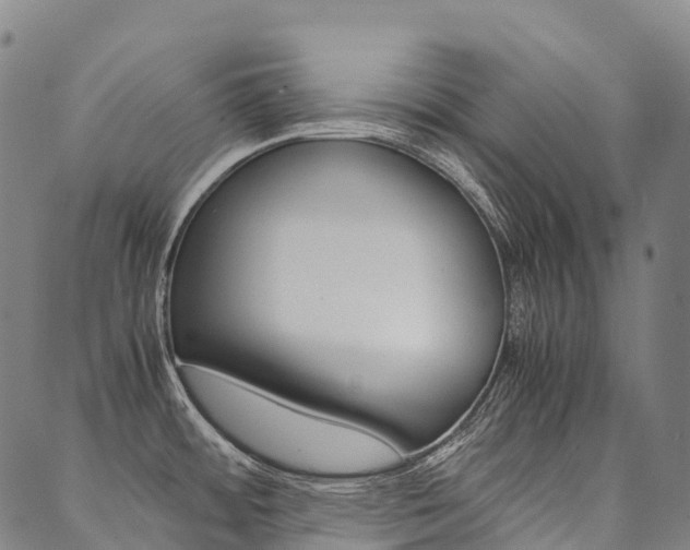X0000090451484200707130916