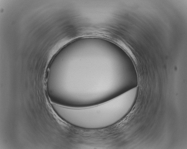 X0000090451485200707130916