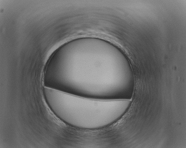 X0000090451522200707130916