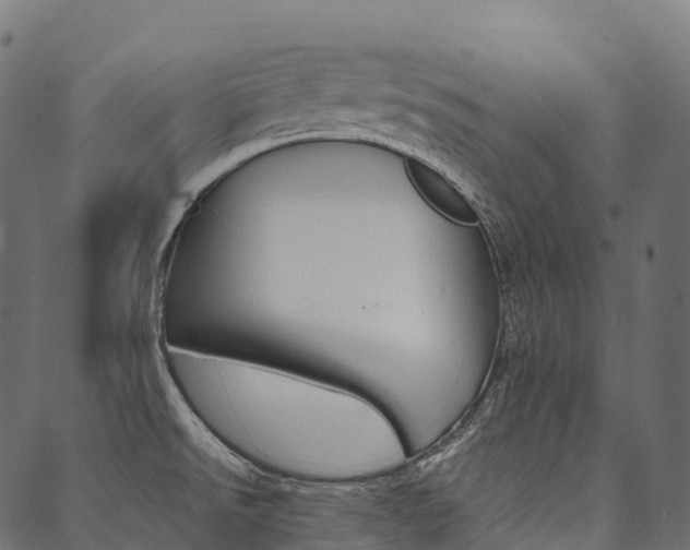 X0000090451526200707130916