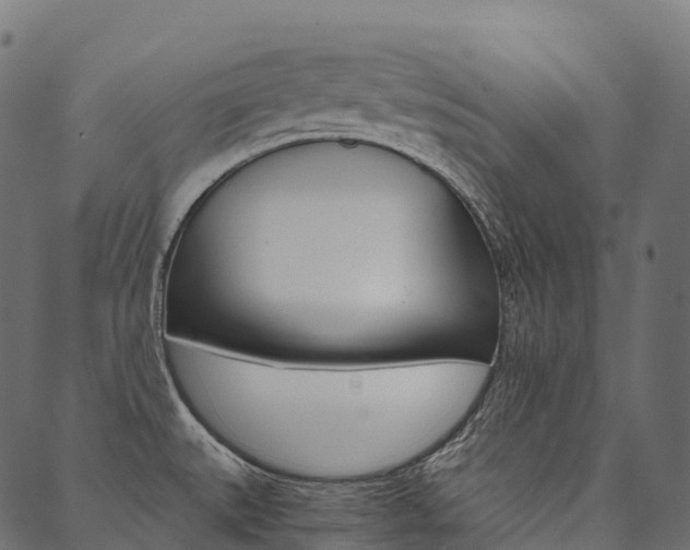 X0000090451527200707130916
