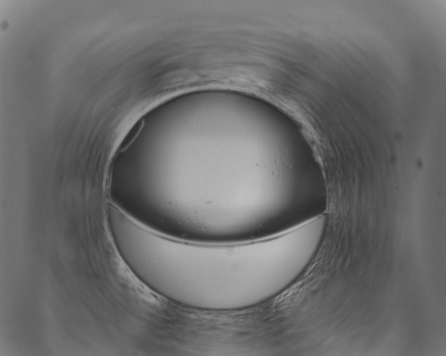 X0000090451532200707130916