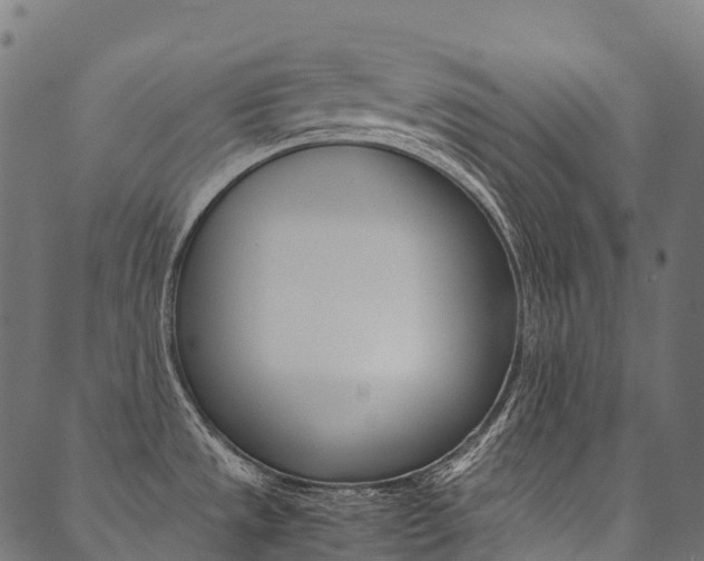 X0000090451533200707130916