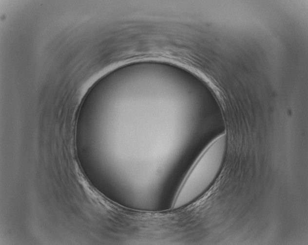 X0000090451534200707130916