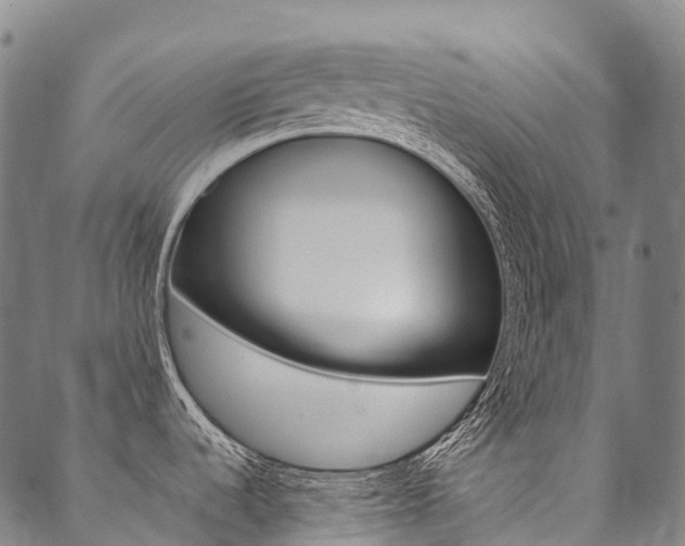 X0000090451536200707130916