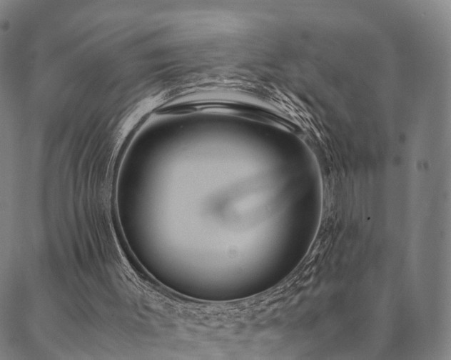 X0000090450003200707131240