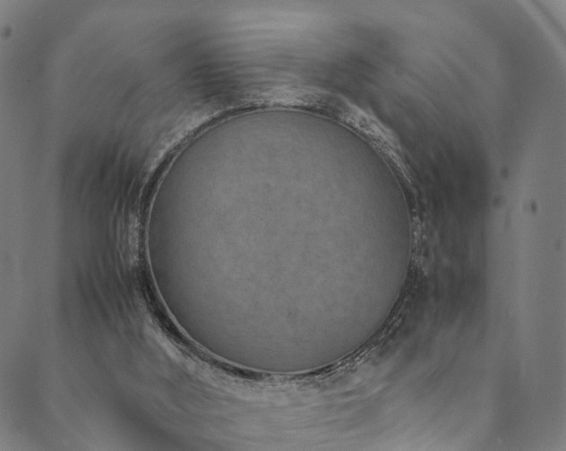 X0000090450012200707131240